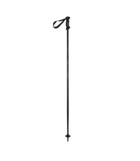 Ellipse Ski Pole BOOST