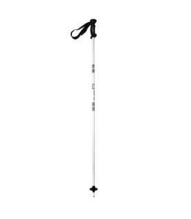 Ellipse Ski Pole BOOST