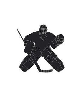 Used Goalie Hockey
