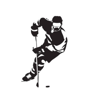 Used Player Hockey SR