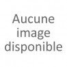 A1